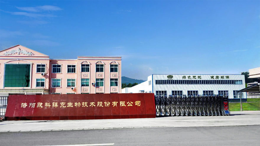 洛阳哈他网络科技 为洛阳网络科技产业注入新活力