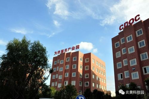 炎黄科技园有多个专业化子园区:炎黄科技园科技企业孵化器,洛阳市为侨